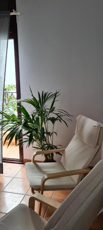 Apartamento Coolivingc